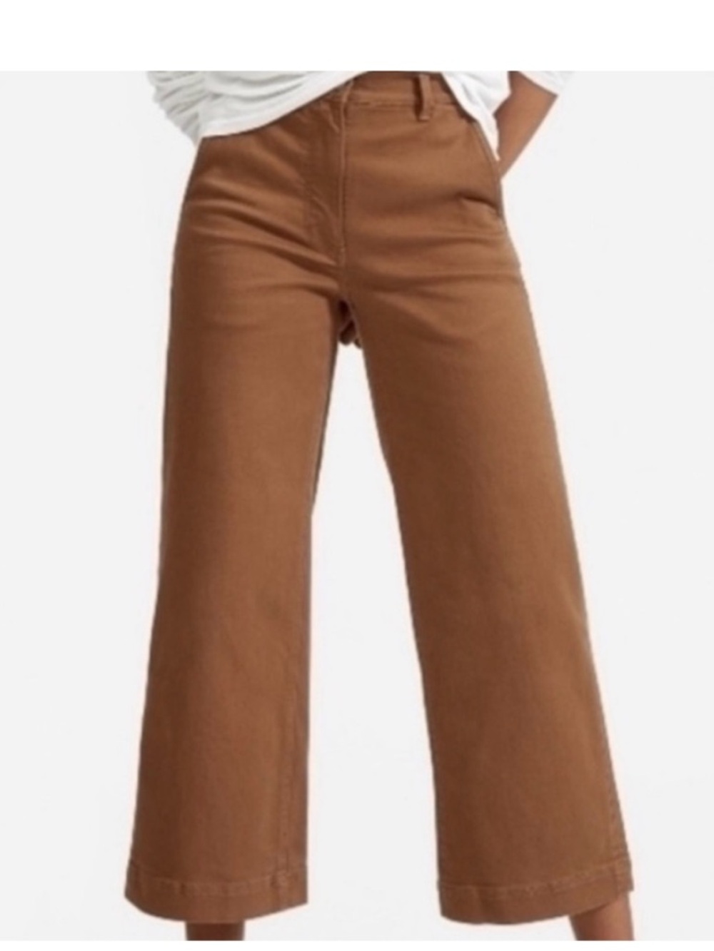 Everlane wide leg brown crop pant - size 6